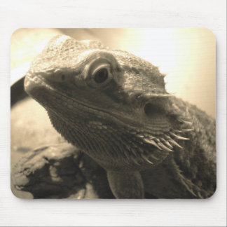 Bärtige Drache-Mausunterlage Mousepad