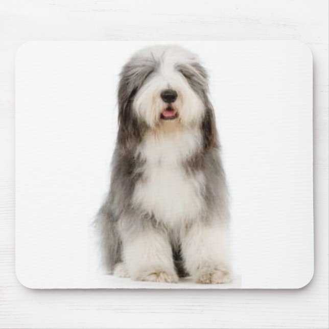 Bärtiger Collie Mousepad (Vorne)