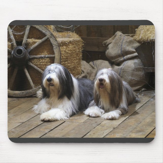 Bärtiger Collie Mousepad (Vorne)