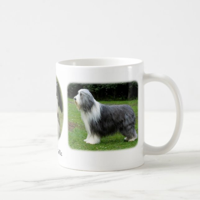 Bärtiger Collie x 3 Tasse (Rechts)