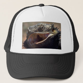 Bärtiger Drache, Australien Truckerkappe