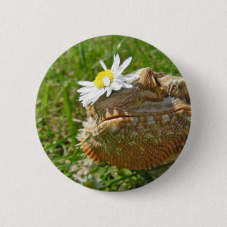 Bärtiger Drache Button