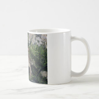 bärtiger Drache herauf Weihnachtsbaum Tasse