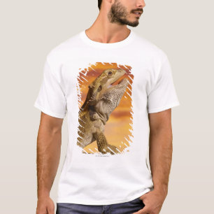 Bärtiger Drache (Pogona Vitticeps) auf Felsen, T-Shirt