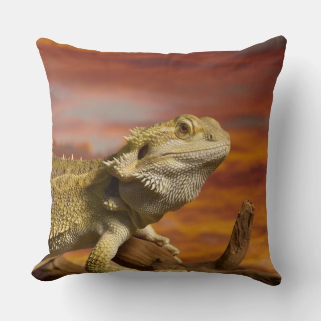 Bärtiger Drache (Pogona Vitticeps) auf Kissen (Vorderseite)