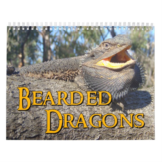 Bärtiger Drache-Wandkalender Kalender (Titelbild)