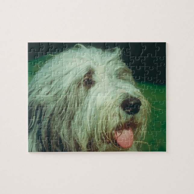 Bärtiges Collie-Hundepuzzlespiel Puzzle (Horizontal)