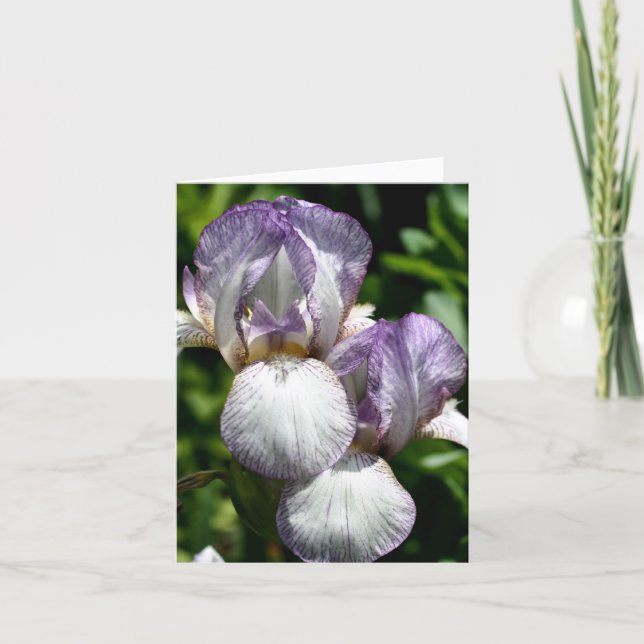Bartiris Paar Blumenfotografie (Vorderseite)