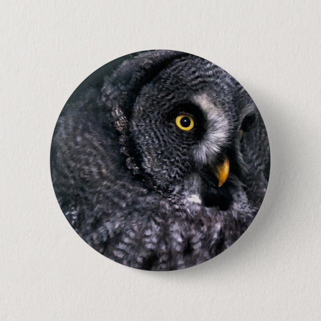 Bartkauz Button (Vorderseite)