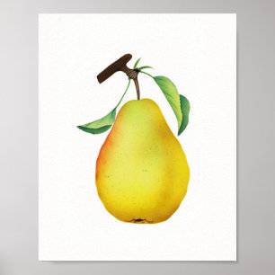 Bartlett Juicy Pear Frucht Küche Poster