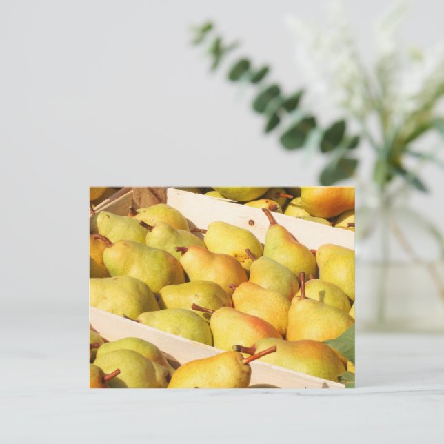 Bartlett Pears Postcard Postkarte (Stehend Vorderseite)