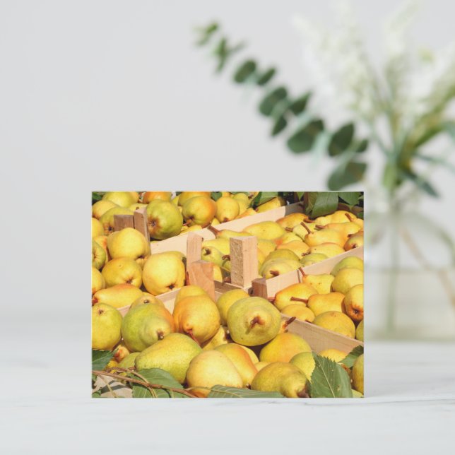 Bartlett Pears Postcard Postkarte (Stehend Vorderseite)