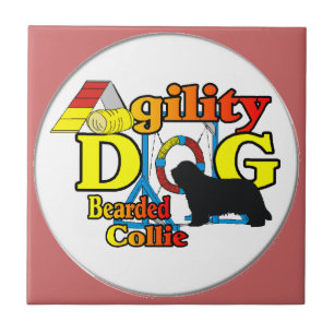 Bartollie-Agility Fliese