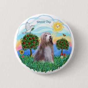 Bartollie (braun-weiß) button