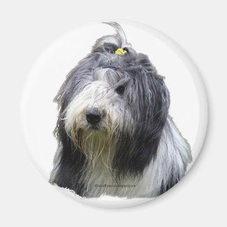 Bartollie Magnet