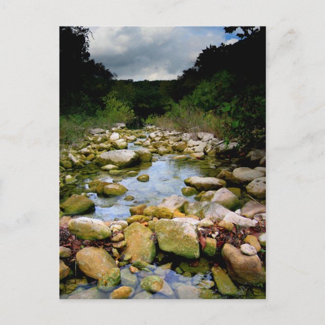 Barton Creek 5 - Austin Texas Postkarte (Vorderseite)