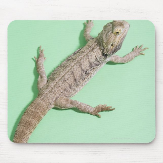 Bartondrache Mousepad (Vorne)