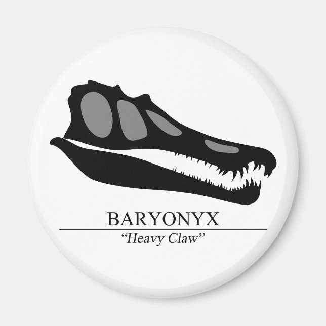 Baryonyx Skull Magnet (Vorne)
