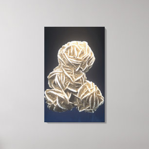 Barytkristalle mit Gips, Normanne, Oklahoma, USA Leinwanddruck