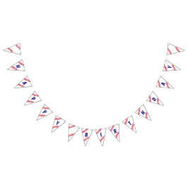 Baseball Birthday Banner