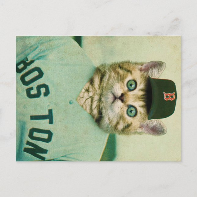 Baseball Cat Postkarte (Vorderseite)