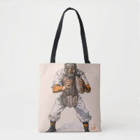 Baseball Catcher