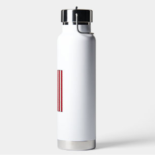 Baseball-Flagge abgenutzt Vintage-Vektor-Design_1 Trinkflasche