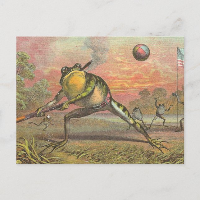 Baseball Frog Postkarte (Vorderseite)