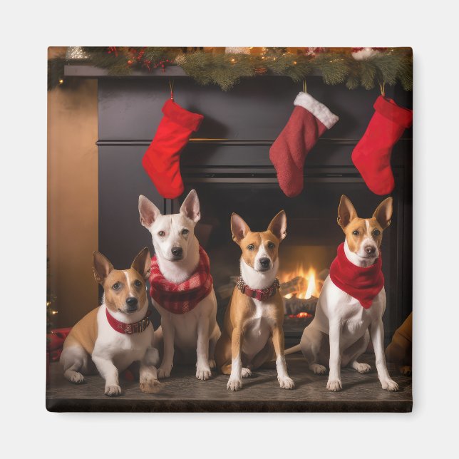 Basenji an der Weihnachtsfeier am Feuerplatz Magnet (Vorne)