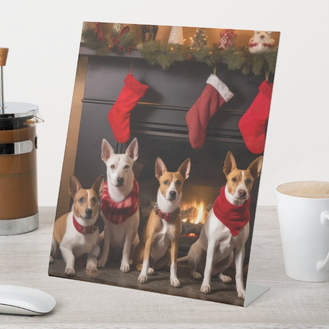 Basenji an der Weihnachtsfeier am Feuerplatz Sockelschild (In Situ)