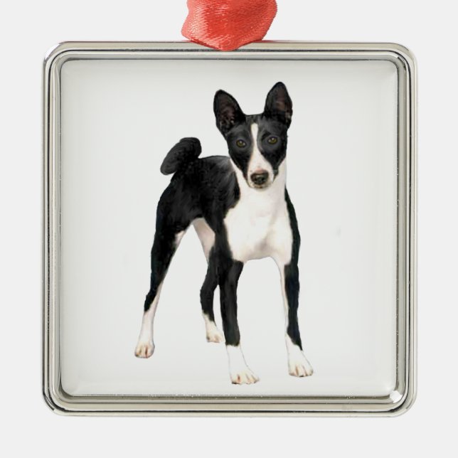 Basenji (B) - schwarz-weiß Ornament Aus Metall (Vorne)