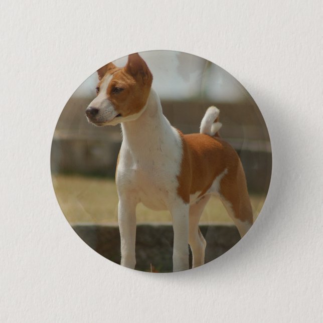 Basenji Button (Vorderseite)