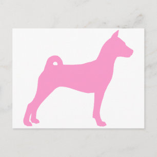 Basenji Dog (in rosa) Postkarte