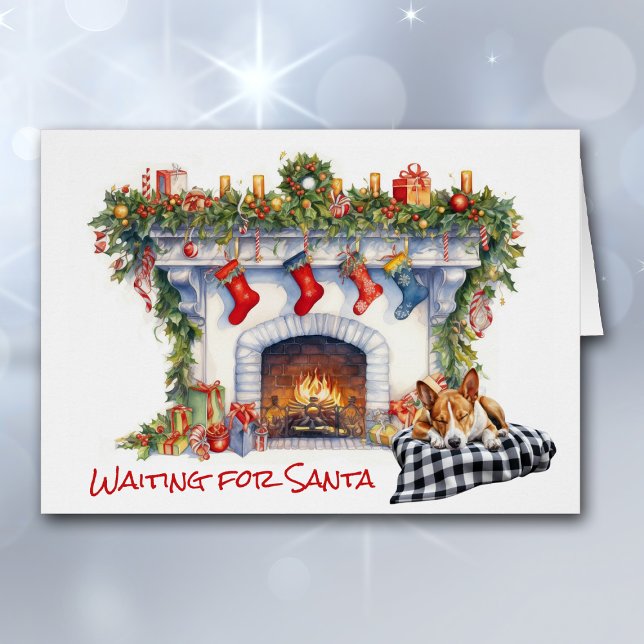 Basenji Dog warten auf Weihnachtsfeuer (Von Creator hochgeladen)