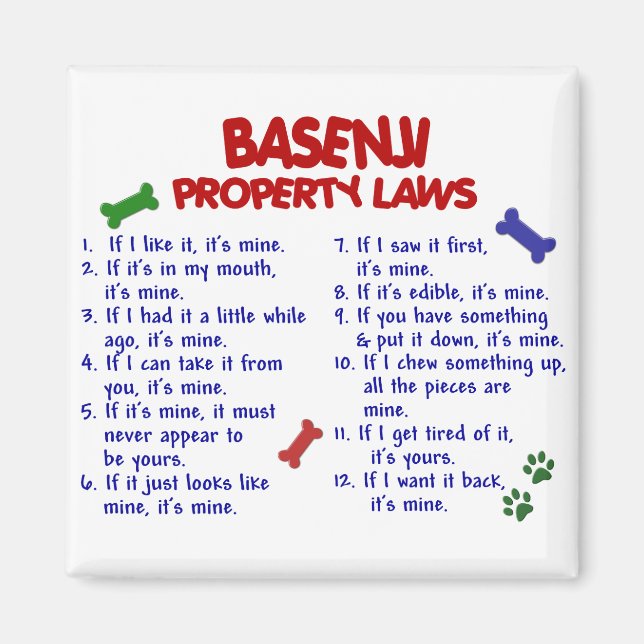 BASENJI-Eigentumsgesetze 2 Magnet (Vorne)
