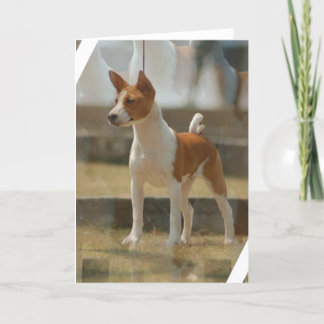 Basenji Gruß-Karte Karte