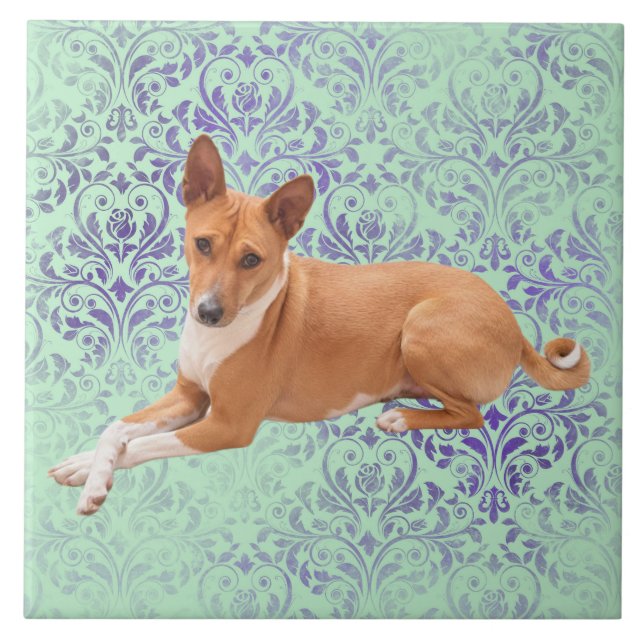 Basenji-Hund  Fliese (Vorderseite)
