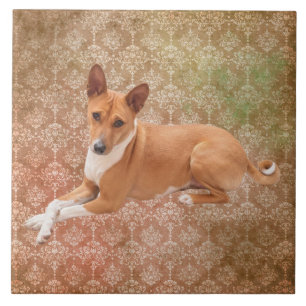 Basenji-Hund Fliese