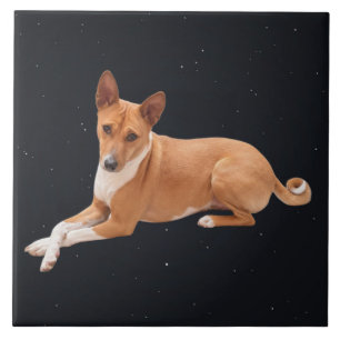 Basenji-Hund Fliese