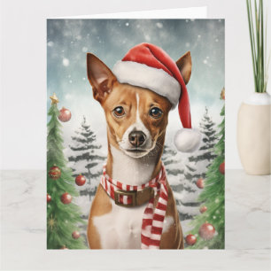 Basenji Hund Weihnachten Santa Pfoten Karte