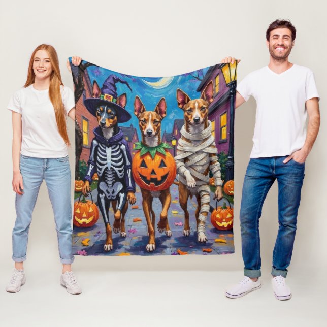 Basenji-Hunde-Trick-oder-Treating Halloween-Kostüm Fleecedecke (Beispiel)