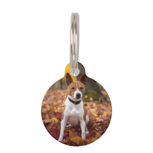 Basenji im Herbst Leaves Fall Inspiriert Haustiermarke