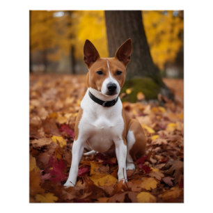 Basenji im Herbst Leaves Fall Inspiriert Poster