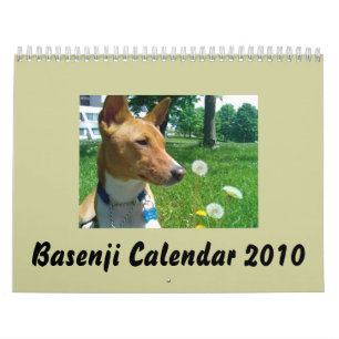 Basenji Kalender 2010