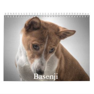 Basenji-Kalender Kalender