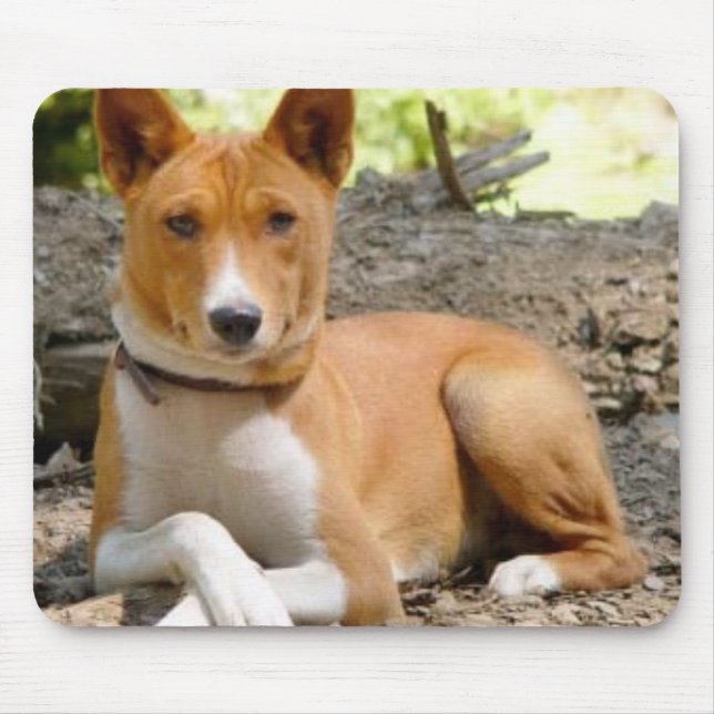Basenji Mousepad (Vorne)