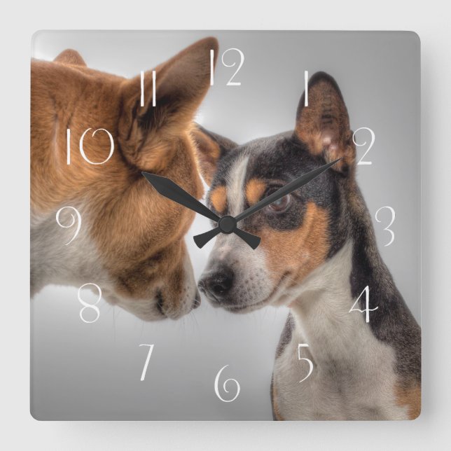 Basenji und Friend Quadratische Wanduhr (Vorderseite)