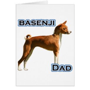 Basenji-Vater 4
