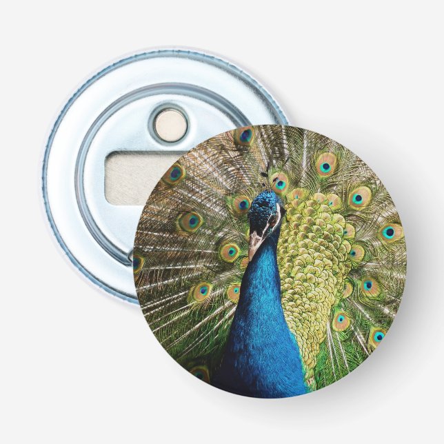 Bashful Peacock Flaschenöffner (Vorderseite)