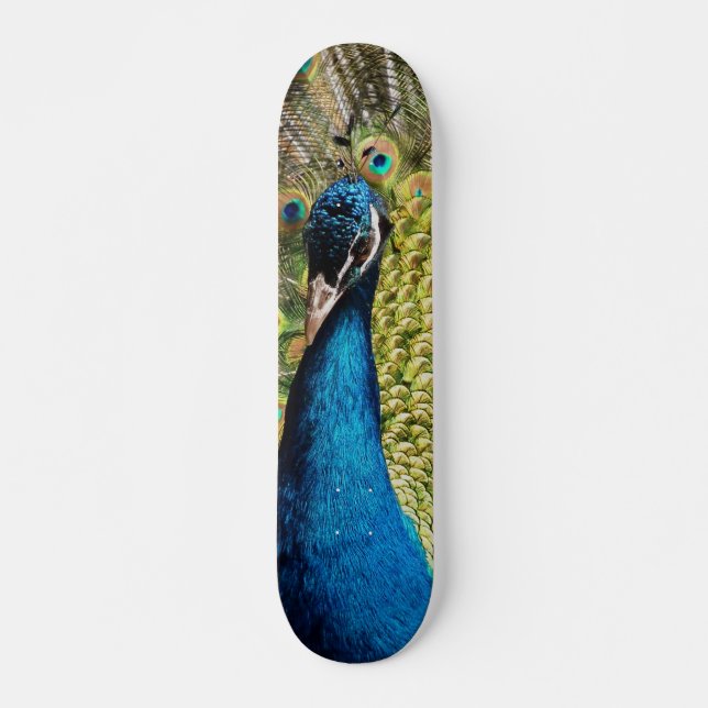 Bashful Peacock Skateboard (Vorne)